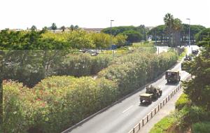 2017 08 15 CAP D AGDE COMMEMORATION DU DEBARQUEMENT DU 15 AOUT 1944